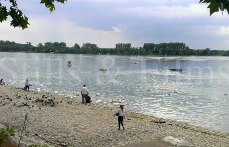 Final4 Belgrade - filming at the river Sava